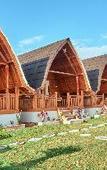 Туры в отель Plumeria NP Туры в отель Plumeria NP