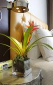 Туры в отель Balfour Miami Beach, a Registry Collection Hotel Туры в отель Balfour Miami Beach, a Registry Collection Hotel