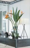 Туры в отель Placid Hotel Design & Lifestyle Zurich Туры в отель Placid Hotel Design & Lifestyle Zurich