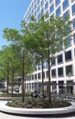 Туры в отель Placid Hotel Design & Lifestyle Zurich Туры в отель Placid Hotel Design & Lifestyle Zurich