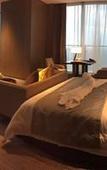 Туры в отель Kunshan Golden Eagle Shangmei Hotel Туры в отель Kunshan Golden Eagle Shangmei Hotel