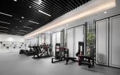 Туры в отель XANA Deluxe Hotel (Beijing Daxing International Airport Terminal) Туры в отель XANA Deluxe Hotel (Beijing Daxing International Airport Terminal)