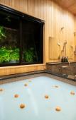 Туры в отель The Machiya Hotel Takayama Туры в отель The Machiya Hotel Takayama