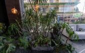 Туры в отель H Hotel El Nido - Vegan Friendly Hotel Managed by H Hospitality Group Туры в отель H Hotel El Nido - Vegan Friendly Hotel Managed by H Hospitality Group