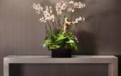 Туры в отель Hyatt Regency Los Angeles International Airport Туры в отель Hyatt Regency Los Angeles International Airport