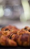 Туры в отель Adalesia Hotel & Coffee Туры в отель Adalesia Hotel & Coffee