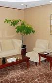 Туры в отель Yangtse River Hotel Туры в отель Yangtse River Hotel