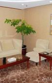 Туры в отель Yangtse River Hotel Туры в отель Yangtse River Hotel