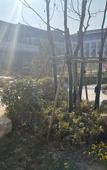 Туры в отель Sheyang Qianhe Lake Hotel Туры в отель Sheyang Qianhe Lake Hotel