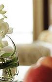Туры в отель Shangri-La Hotel Chengdu Туры в отель Shangri-La Hotel Chengdu