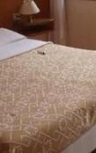 Туры в отель Hotel Minerva E Nettuno Туры в отель Hotel Minerva E Nettuno