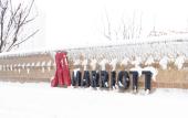 Туры в отель Marriott Yantai Туры в отель Marriott Yantai
