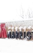 Туры в отель Marriott Yantai Туры в отель Marriott Yantai