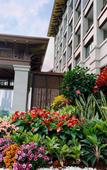 Туры в отель Yulin Jolie Vue Bontique Hotel(Kra Bay and Garden Expo Garden) Туры в отель Yulin Jolie Vue Bontique Hotel(Kra Bay and Garden Expo Garden)