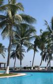 Туры в отель Hilton Salalah Resort Туры в отель Hilton Salalah Resort