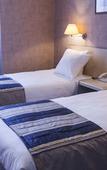 Туры в отель Mercure Brussels Centre Rogier Туры в отель Mercure Brussels Centre Rogier