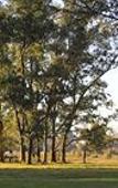 Туры в отель Howard Johnson by Wyndham Ezeiza Convention Center Туры в отель Howard Johnson by Wyndham Ezeiza Convention Center