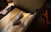 Туры в отель Hotel Nuovo Nord Туры в отель Hotel Nuovo Nord