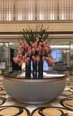 Туры в отель Ruili Bund Hotel Туры в отель Ruili Bund Hotel