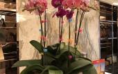 Туры в отель Ruili Bund Hotel Туры в отель Ruili Bund Hotel