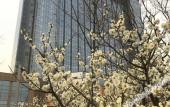 Туры в отель Sun Plaza International Hotel Туры в отель Sun Plaza International Hotel