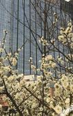 Туры в отель Sun Plaza International Hotel Туры в отель Sun Plaza International Hotel
