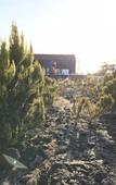 Туры в отель Vinhas do Calhau Туры в отель Vinhas do Calhau