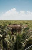 Туры в отель Nomade Temple Holbox Туры в отель Nomade Temple Holbox