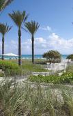 Туры в отель Grand Beach Hotel Surfside Туры в отель Grand Beach Hotel Surfside