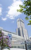 Туры в отель JR Tower Hotel Nikko Sapporo Туры в отель JR Tower Hotel Nikko Sapporo