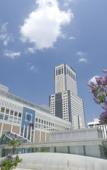 Туры в отель JR Tower Hotel Nikko Sapporo Туры в отель JR Tower Hotel Nikko Sapporo