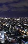 Туры в отель JR Tower Hotel Nikko Sapporo Туры в отель JR Tower Hotel Nikko Sapporo