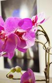 Туры в отель Hotel Colombo Туры в отель Hotel Colombo