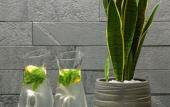 Туры в отель The Artist Grand Hotel of Art Туры в отель The Artist Grand Hotel of Art