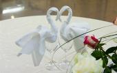 Туры в отель Hotel Minerva Туры в отель Hotel Minerva
