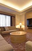Туры в отель Hotel Granvia Okayama Туры в отель Hotel Granvia Okayama