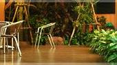 Туры в отель Orchid Resort Туры в отель Orchid Resort