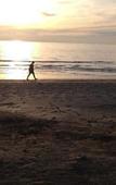 Туры в отель Apple Beachfront Resort Туры в отель Apple Beachfront Resort