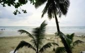 Туры в отель Apple Beachfront Resort Туры в отель Apple Beachfront Resort