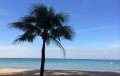 Туры в отель Apple Beachfront Resort Туры в отель Apple Beachfront Resort