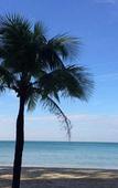 Туры в отель Apple Beachfront Resort Туры в отель Apple Beachfront Resort