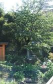 Туры в отель Yoshiike Ryokan Туры в отель Yoshiike Ryokan