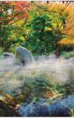 Туры в отель Yoshiike Ryokan Туры в отель Yoshiike Ryokan