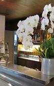 Туры в отель Park Hotel Meuble Туры в отель Park Hotel Meuble
