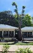 Туры в отель Samet Lucky Resort Туры в отель Samet Lucky Resort