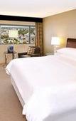 Туры в отель Sheraton Philadelphia Downtown Туры в отель Sheraton Philadelphia Downtown