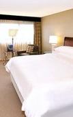 Туры в отель Sheraton Philadelphia Downtown Туры в отель Sheraton Philadelphia Downtown