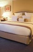 Туры в отель Pullman Sao Paulo Guarulhos Airport Туры в отель Pullman Sao Paulo Guarulhos Airport