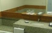 Туры в отель Pullman Sao Paulo Guarulhos Airport Туры в отель Pullman Sao Paulo Guarulhos Airport