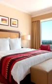 Туры в отель Hilton Warsaw Hotel & Convention Centre Туры в отель Hilton Warsaw Hotel & Convention Centre